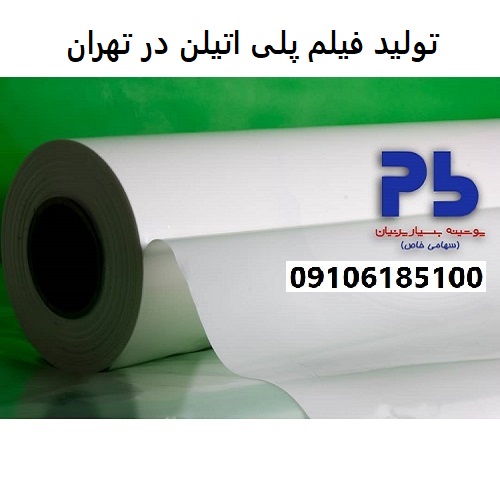 Polyethylene Film Production in Tehran
